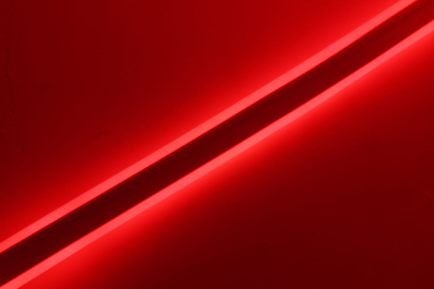 SS NEON - (Per m)