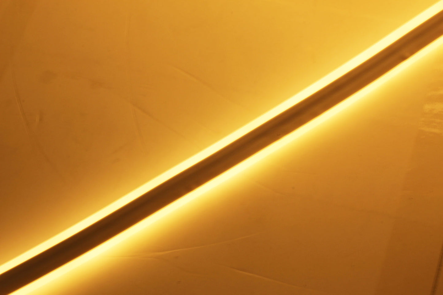 DS NEON - (Per m)