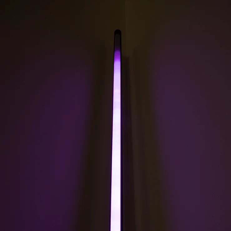 Floor Lamp with Remote (LD B818-RG)