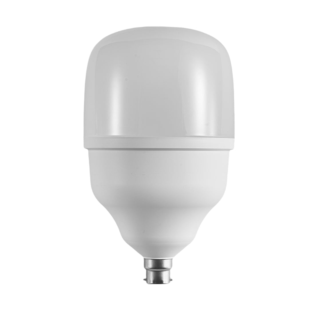 60W LED Standard Bulb (E22-Pin)