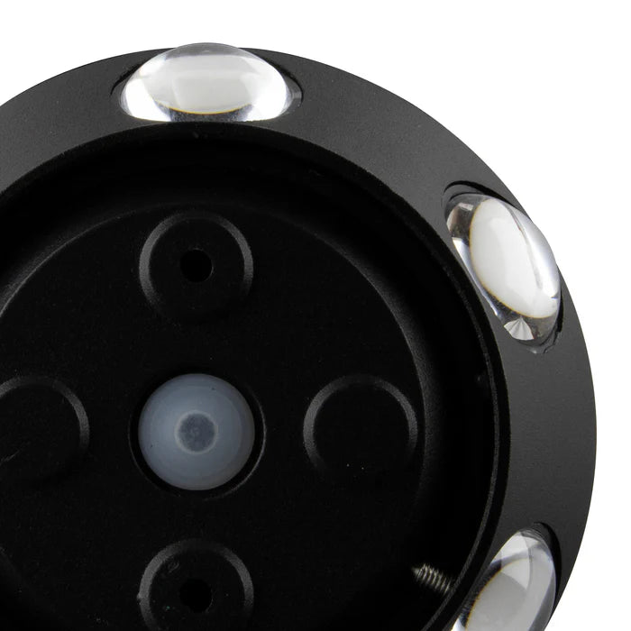 Stylish Wall Light (LL 6007-BK-WW)