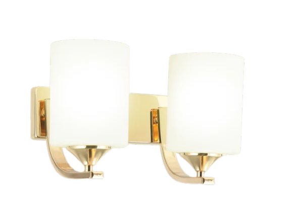 Frosted Glass Shades Wall Light Double Lamp