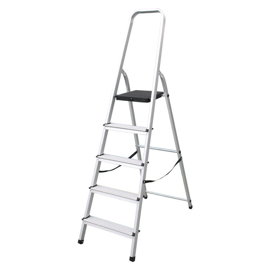 6 Step Ladder