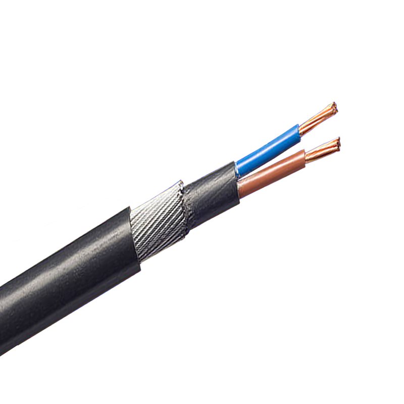 TRONIC CABLE 4MM 2 CORE ARMOURED - MT ARMR 02-0040
