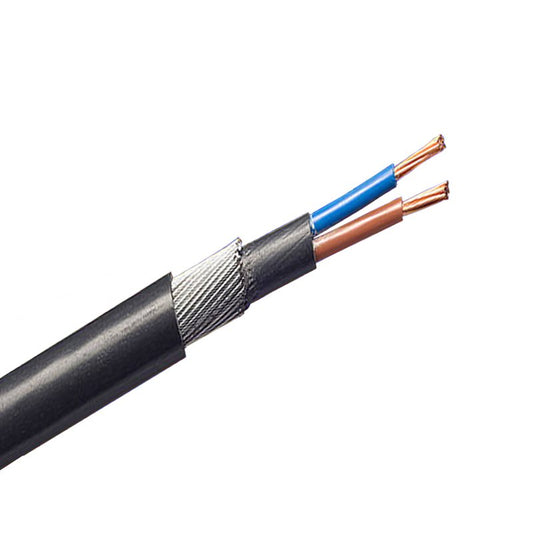 TRONIC CABLE 4MM 2 CORE ARMOURED - MT ARMR 02-0040