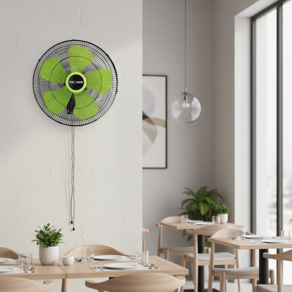Wall Fan 18 Inch 160W (DF WF18A)