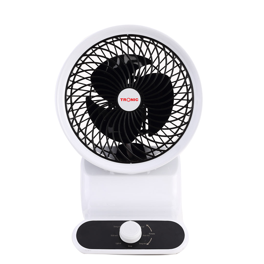 10in Table Fan