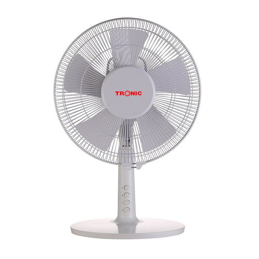 12in Table Fan