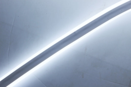DS NEON - (Per m)