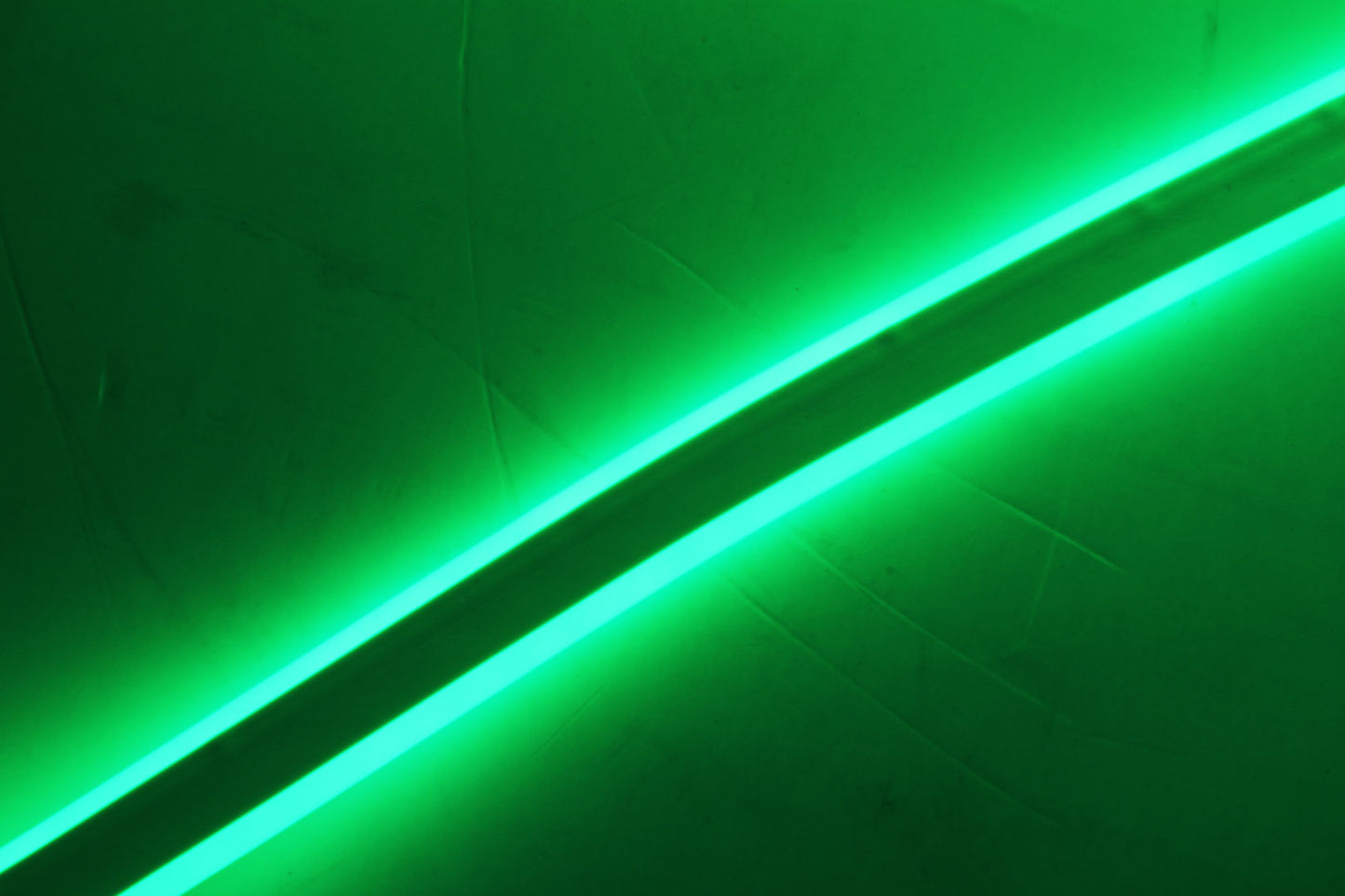 SS NEON - (Per m)