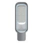 LED Street Light 100W EST SL25-10-DL