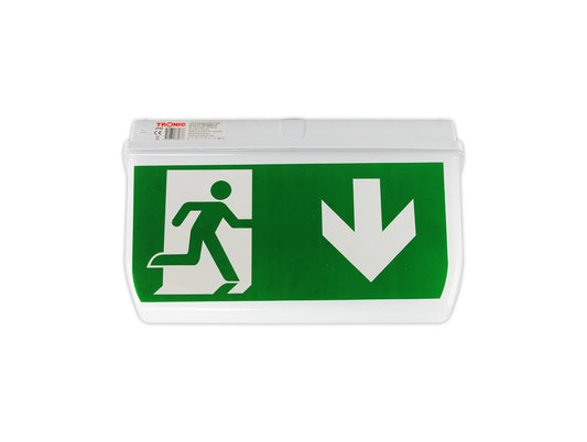 Emergency Exit Light
