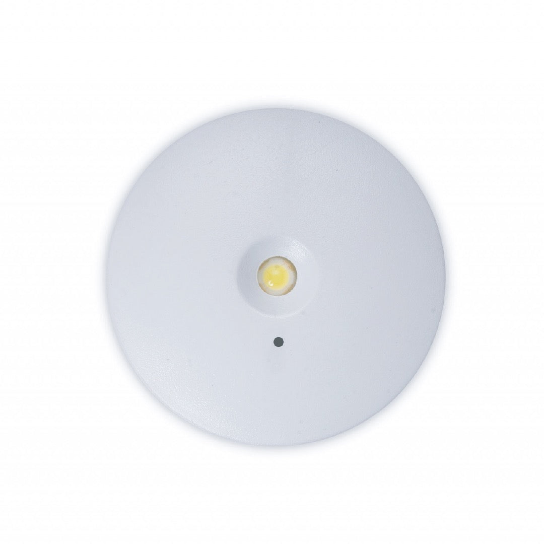Emergency Exit Down Light