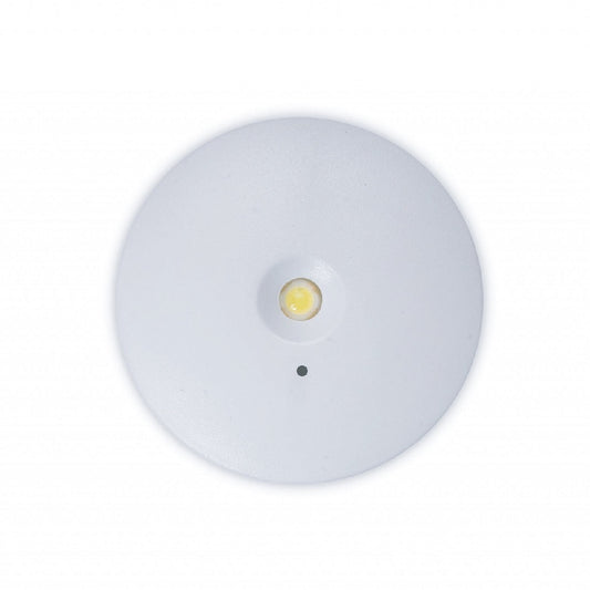 Emergency Exit Down Light