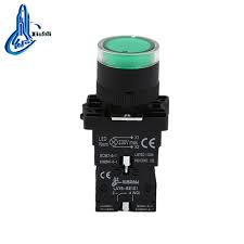 Push Button w/ Indicator