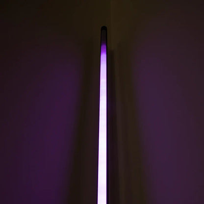 Floor Lamp with Remote (LD B818-RG)