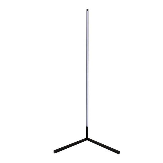 Floor Lamp with Remote (LD B818-RG)