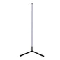 Floor Lamp with Remote (LD B818-RG)