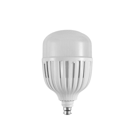 LED Daylight Bulb 100W B22 Pin Type LE 0100-22-DL