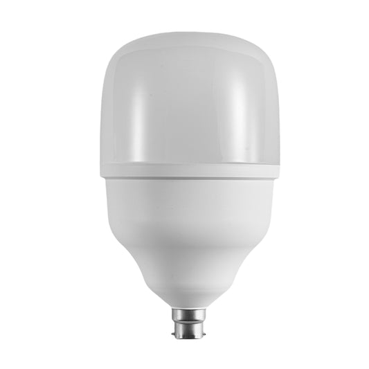 60W LED Standard Bulb (E22-Pin)