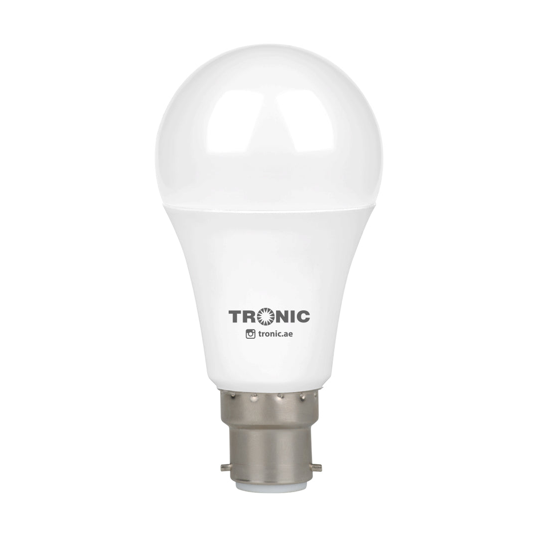 13W LED Standard Bulb (E22-Pin)