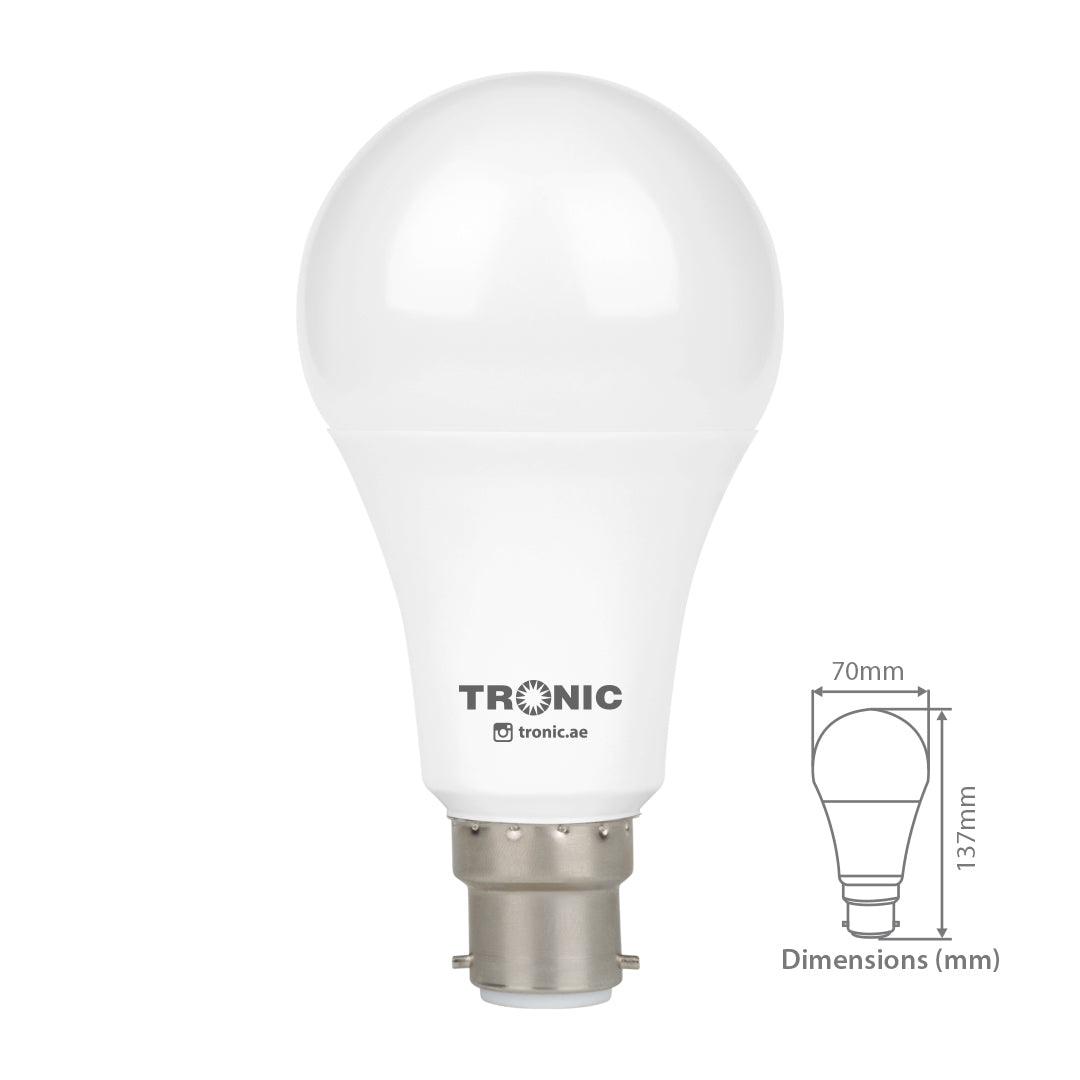 15W LED Standard Bulb (E22-Pin)