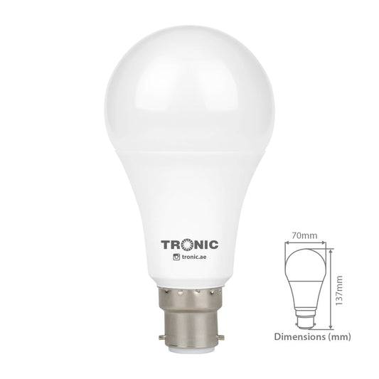 15W LED Standard Bulb (E22-Pin)