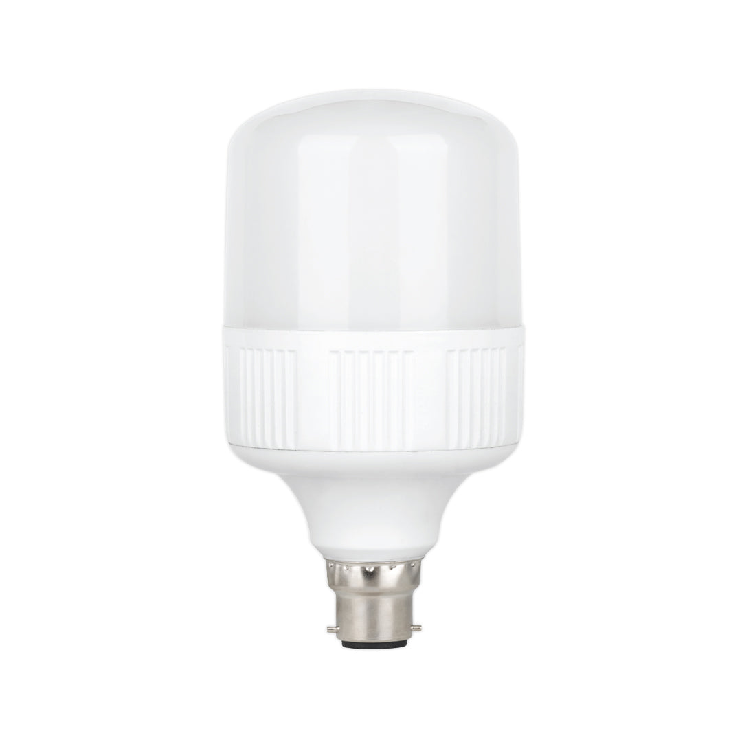 20W LED Standard Bulb (E22-Pin)