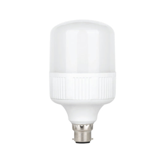20W LED Standard Bulb (E22-Pin)