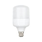 20W LED Standard Bulb (E22-Pin)
