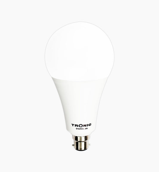 25W LED Sphere Bulb (E22-Pin)