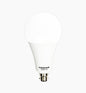 25W LED Sphere Bulb (E22-Pin)