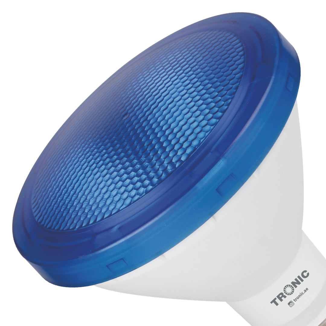 LED PAR38 Bulbs