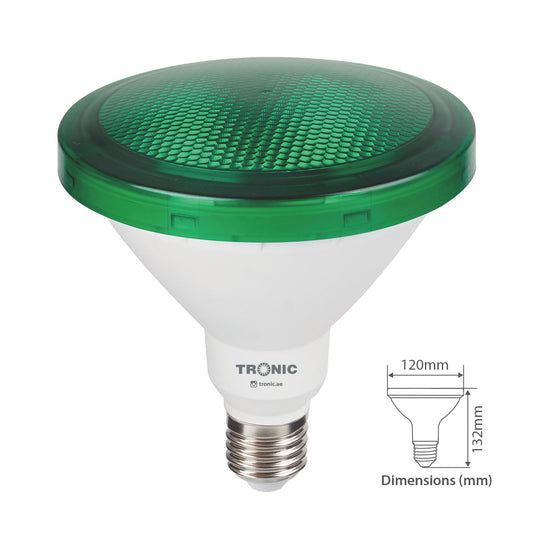 LED PAR38 Bulbs