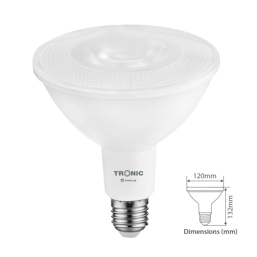 LED PAR38 Bulbs