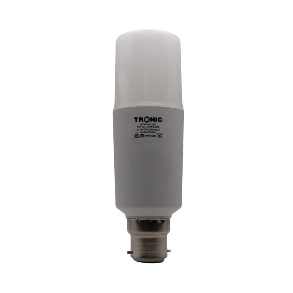 15W LED T450 Bulb (E22-Pin)