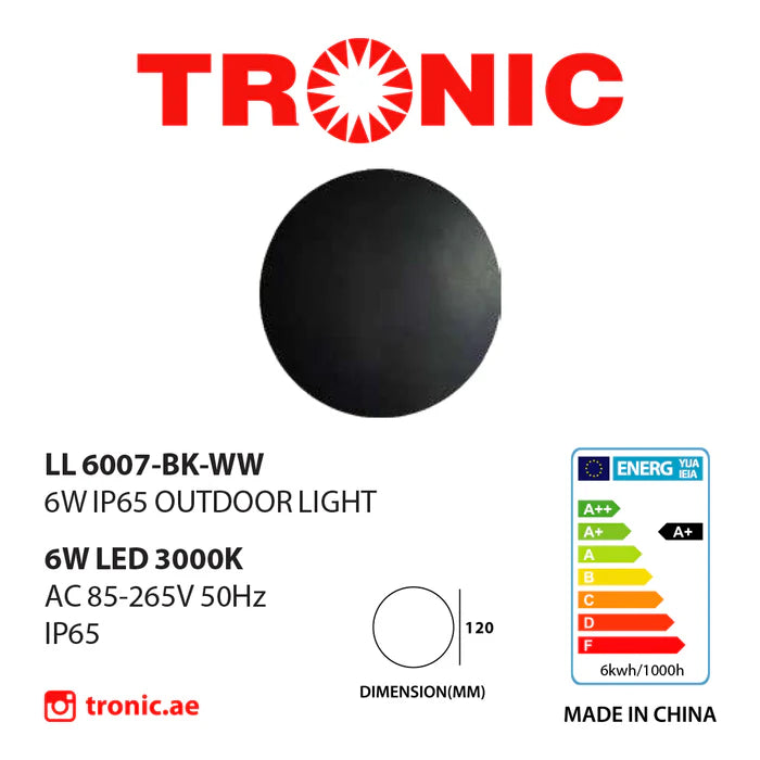 Stylish Wall Light (LL 6007-BK-WW)