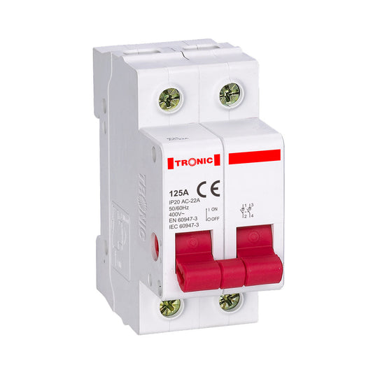 100A 2Pole MCB