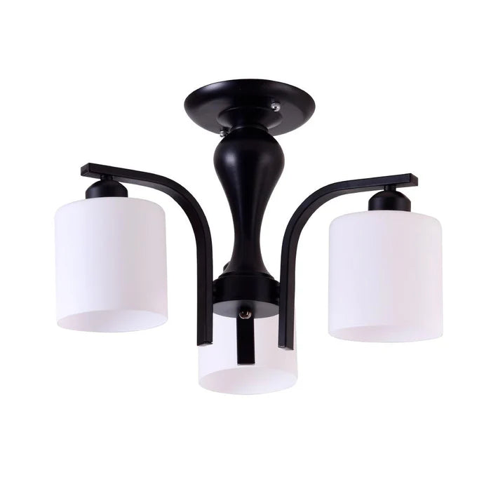 3D Glass Ceiling Lamp (PL 6011-3D)