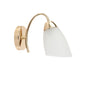 Modern Wall Light Fixture with Frosted Glass