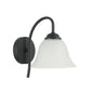 Wall Sconce Light With Frosted Glass Shade