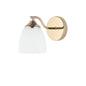 Indoor Modern Matte Wall Light Sconce with Frosted Glass Shade