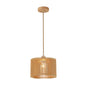 PENDANT LAMP 1*E27 WD (PL WD25-31)