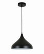 PL 6301