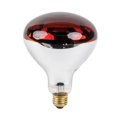 250W Infrared Bulb - E27-Screw (SP 1250)