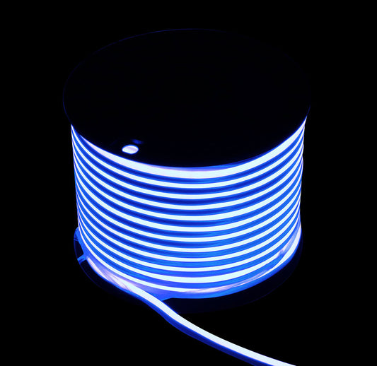 SS NEON