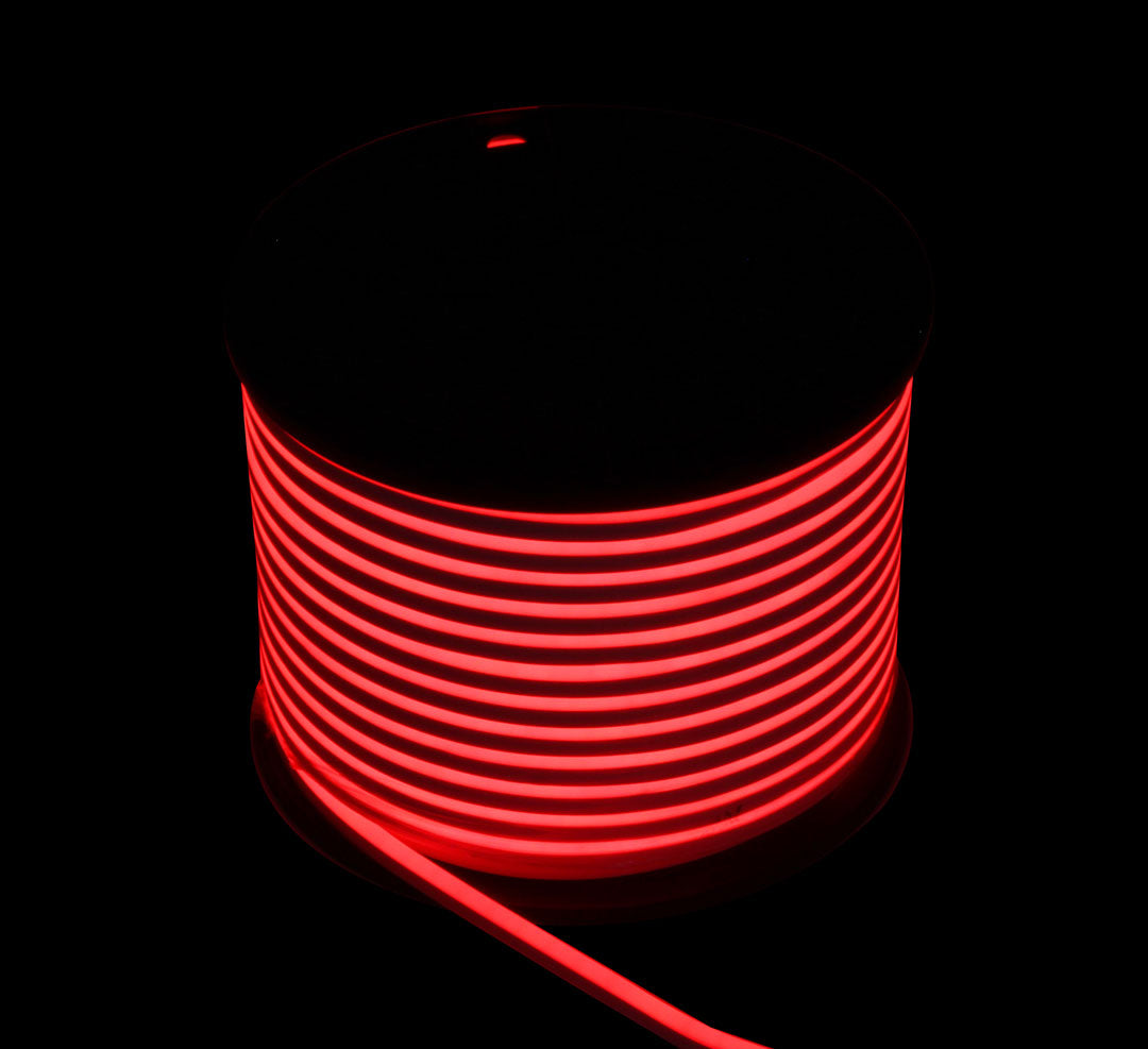 SS NEON
