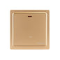 Premium 20A DP Switch - TS Range