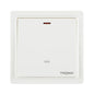 Premium 20A DP Switch - TS Range