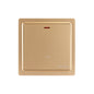 Premium 45A DP Switch - TS Range